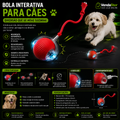 Bola interativa para cães
