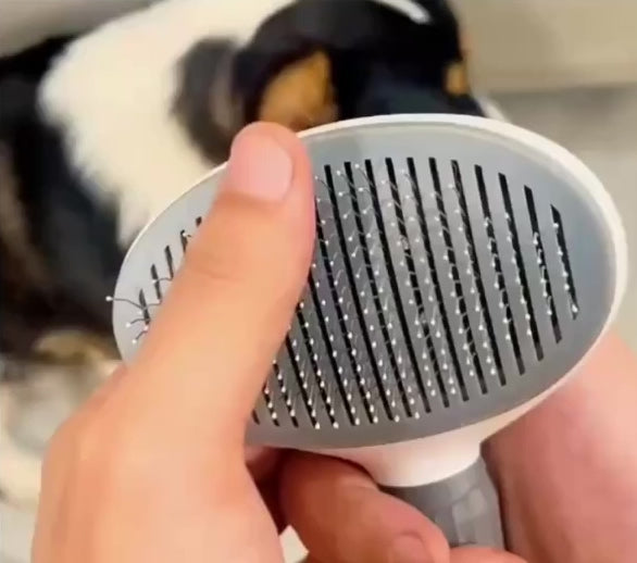 ESCOVA PET AUTO LIMPEZA